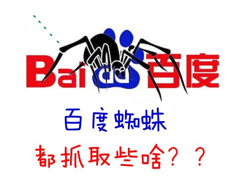 百度爬虫:你知道百度蜘蛛的抓取规律是什么吗
