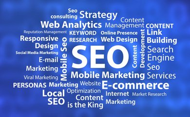 【seo技术培训】seo优化中几款常见的快排软件-SEO培训教程_SEO顾问服务