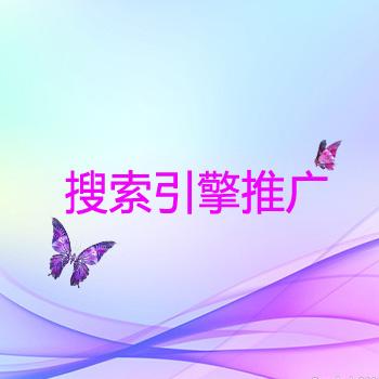 【搜索引擎大全】搜索引擎的常识
