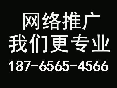 给你药方治疗传统企业网站做百度关键词seo优化排名的诟病